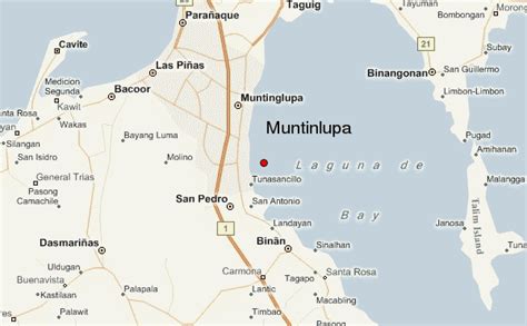 muntinlupa to tarlac|Road Map from Muntinlupa to Tarlac .
